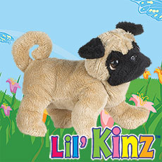 LilKinz - Pug